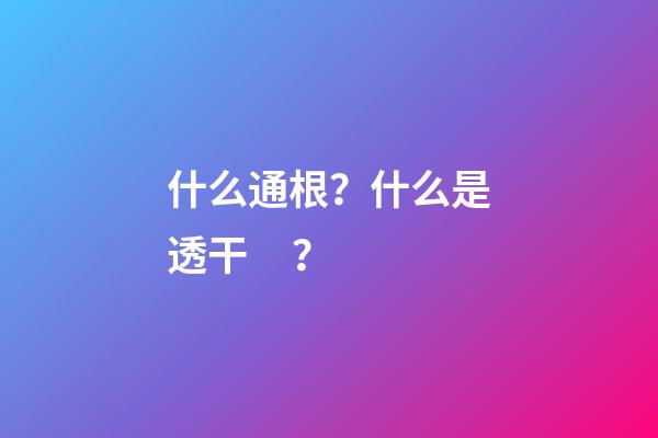 什么通根？什么是透干？